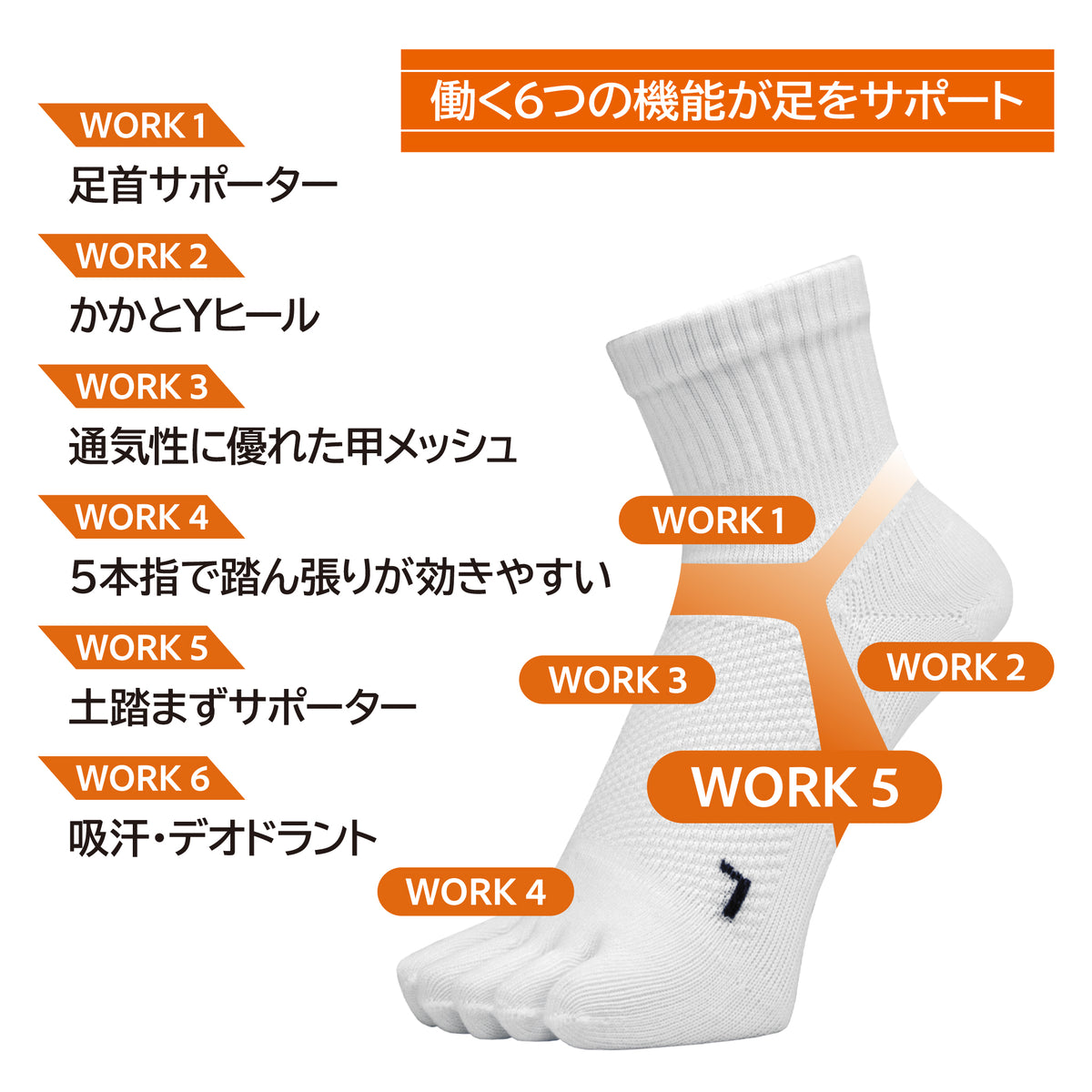土踏まずサポートソックス レディース ミドル5本指