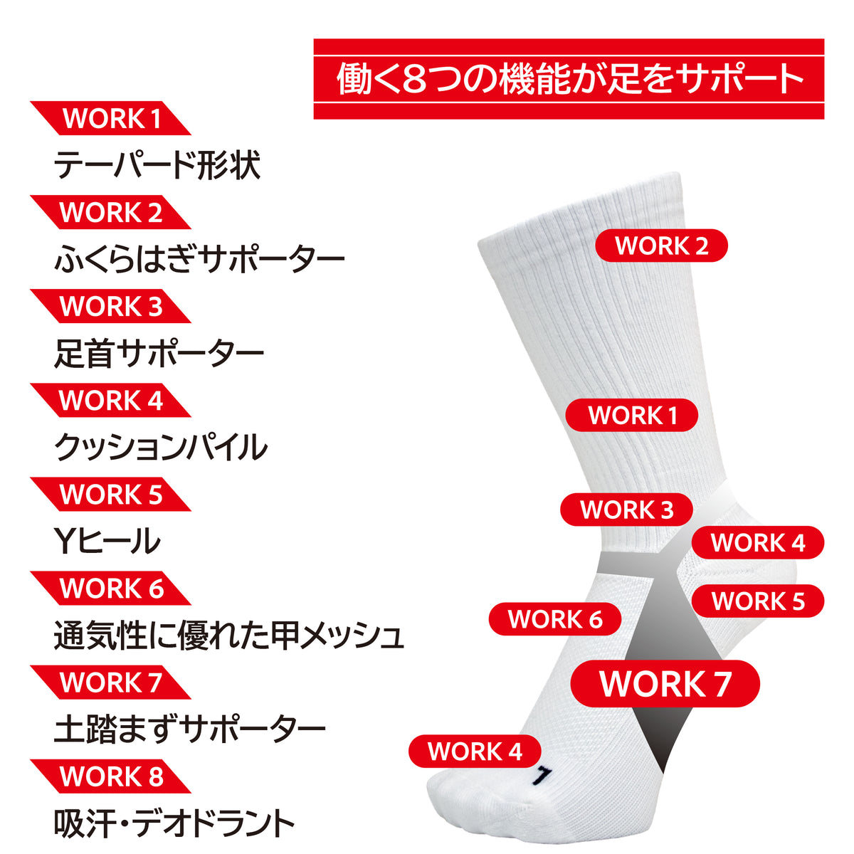 土踏まずサポートソックス クルー
