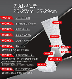土踏まずサポートソックス レギュラー 先丸