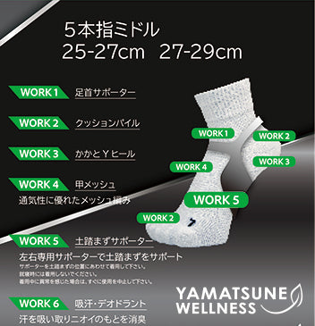 土踏まずサポートソックス ミドル5本指