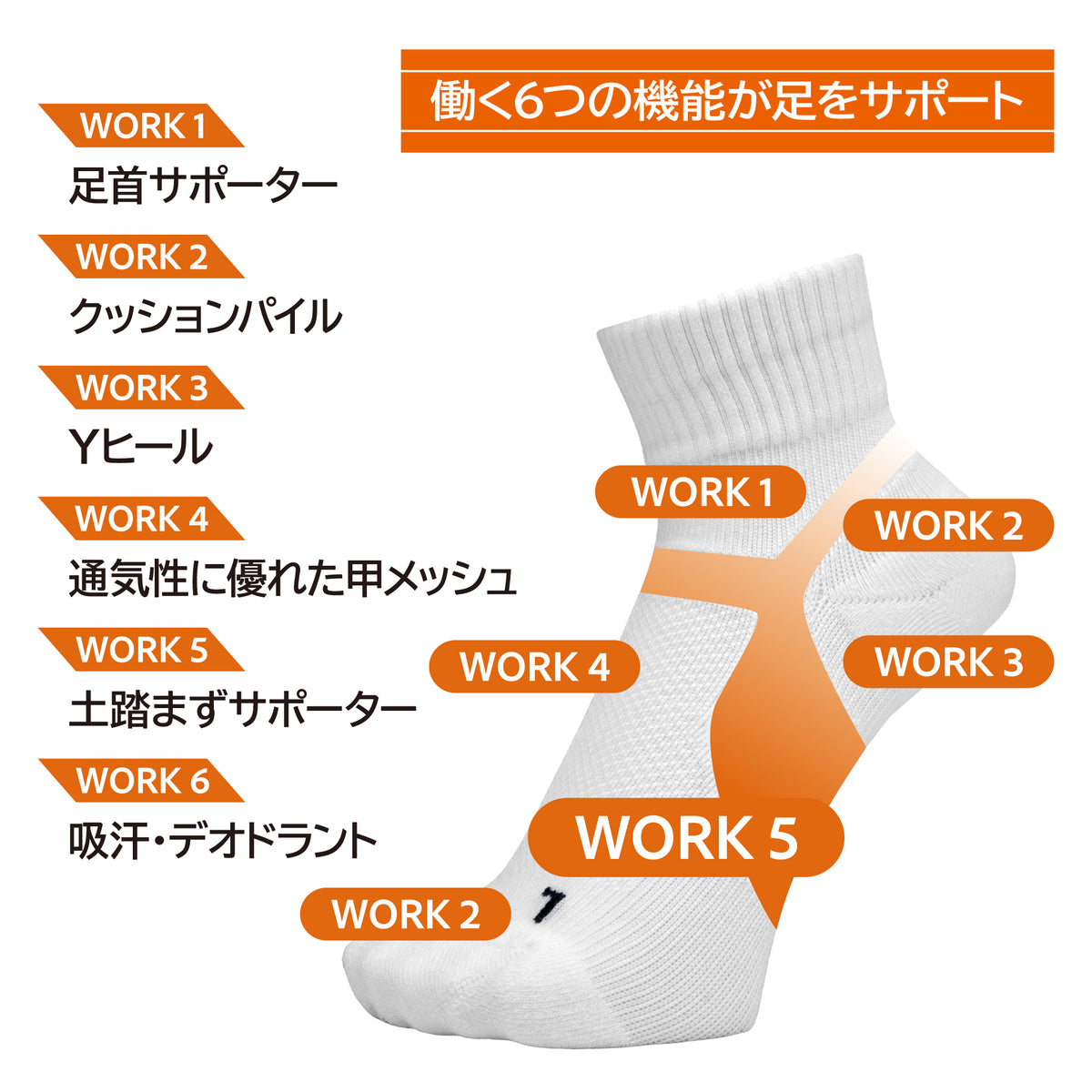 土踏まずサポートソックス レディース ミドル