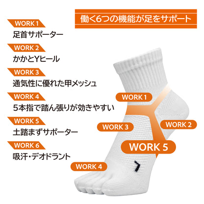 土踏まずサポートソックス レディース ミドル5本指